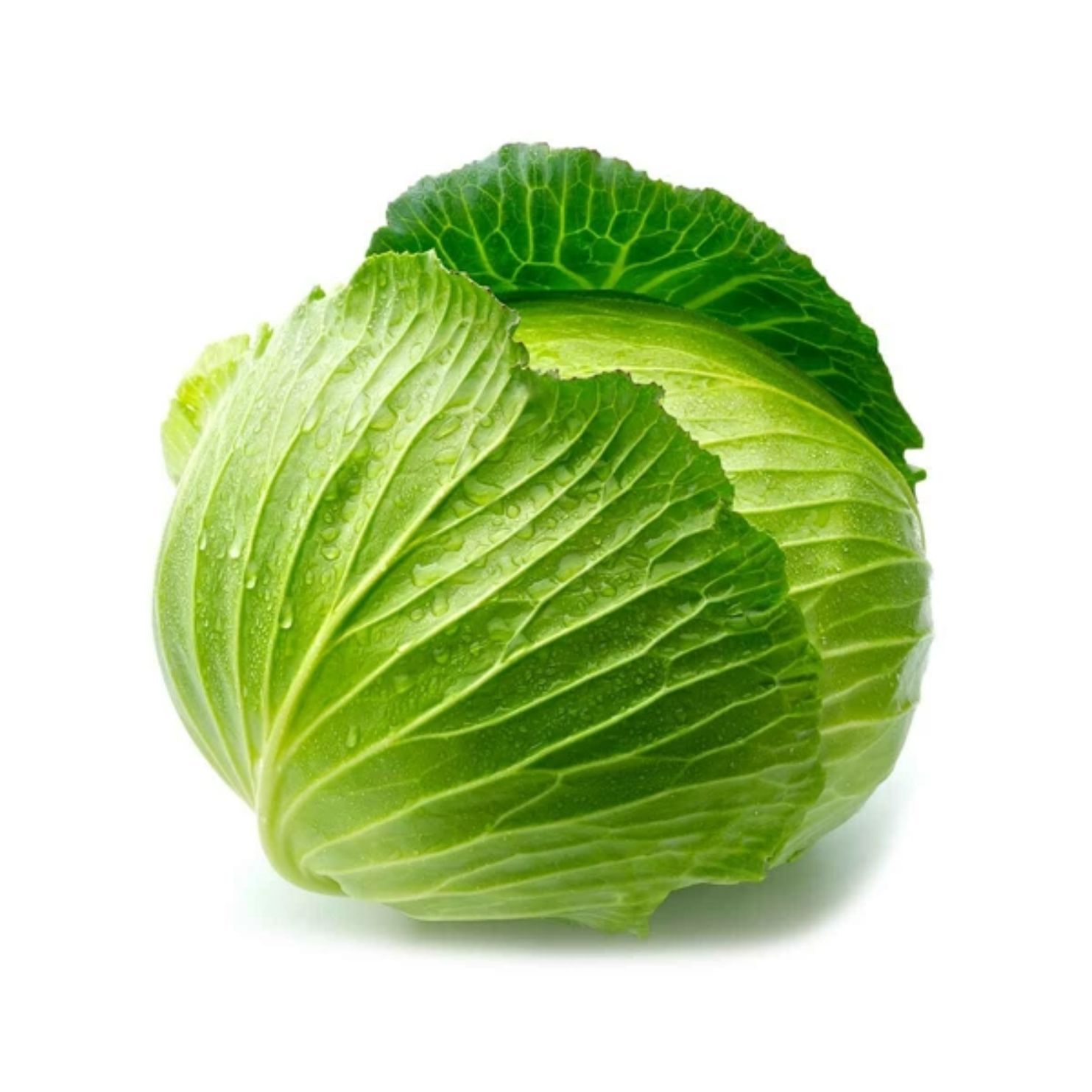 BEYAZ LAHANA ADET (7-9 KG ARASI)