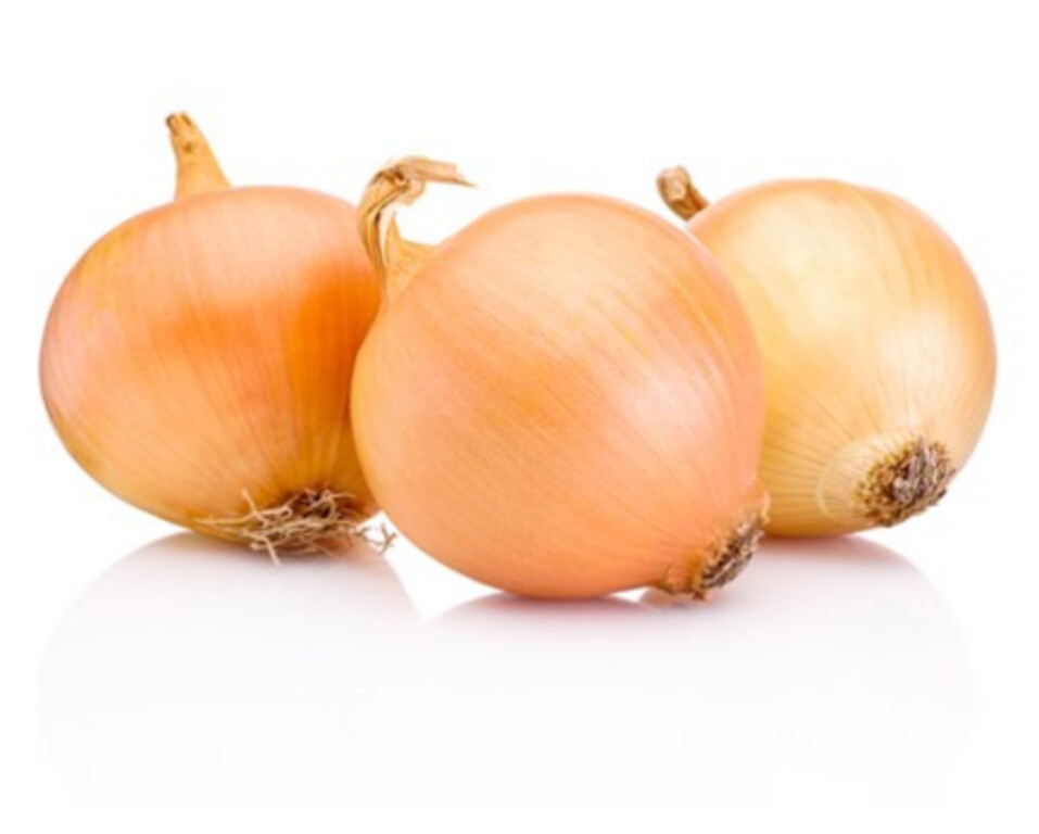 YENİ KURU SOĞAN KG