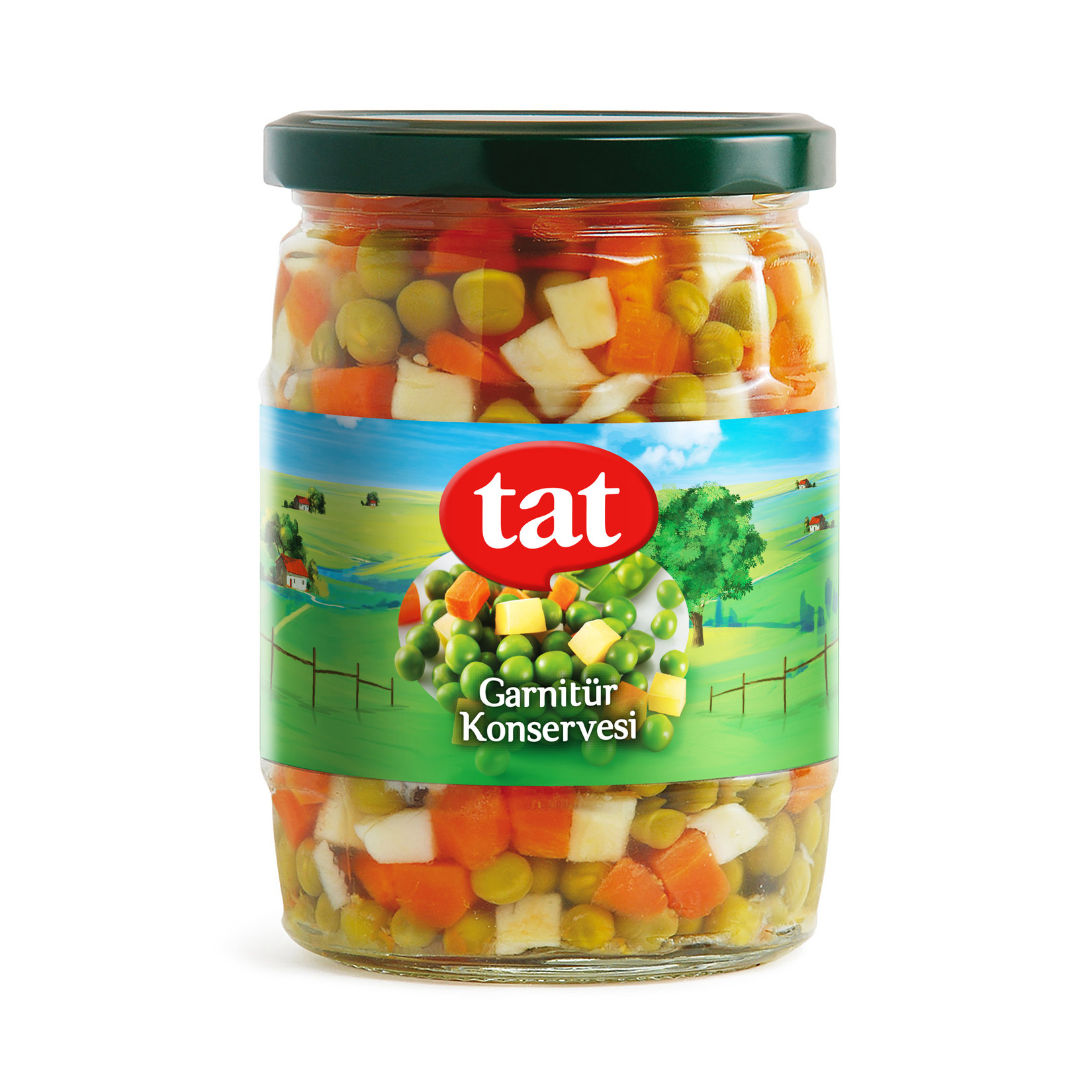 TAT GARNİTÜR CAM 340 G