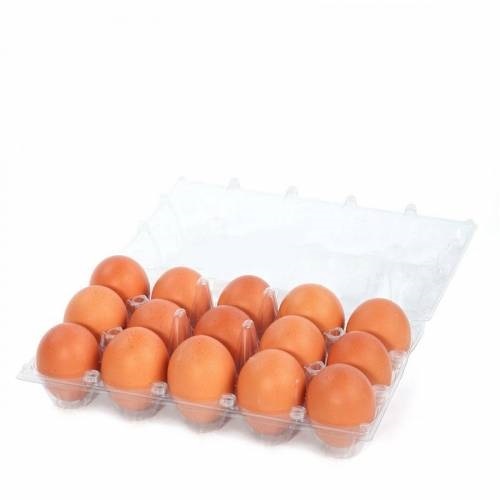 YOGO BABY GEZEN TAVUK YUMURTA 15 Lİ