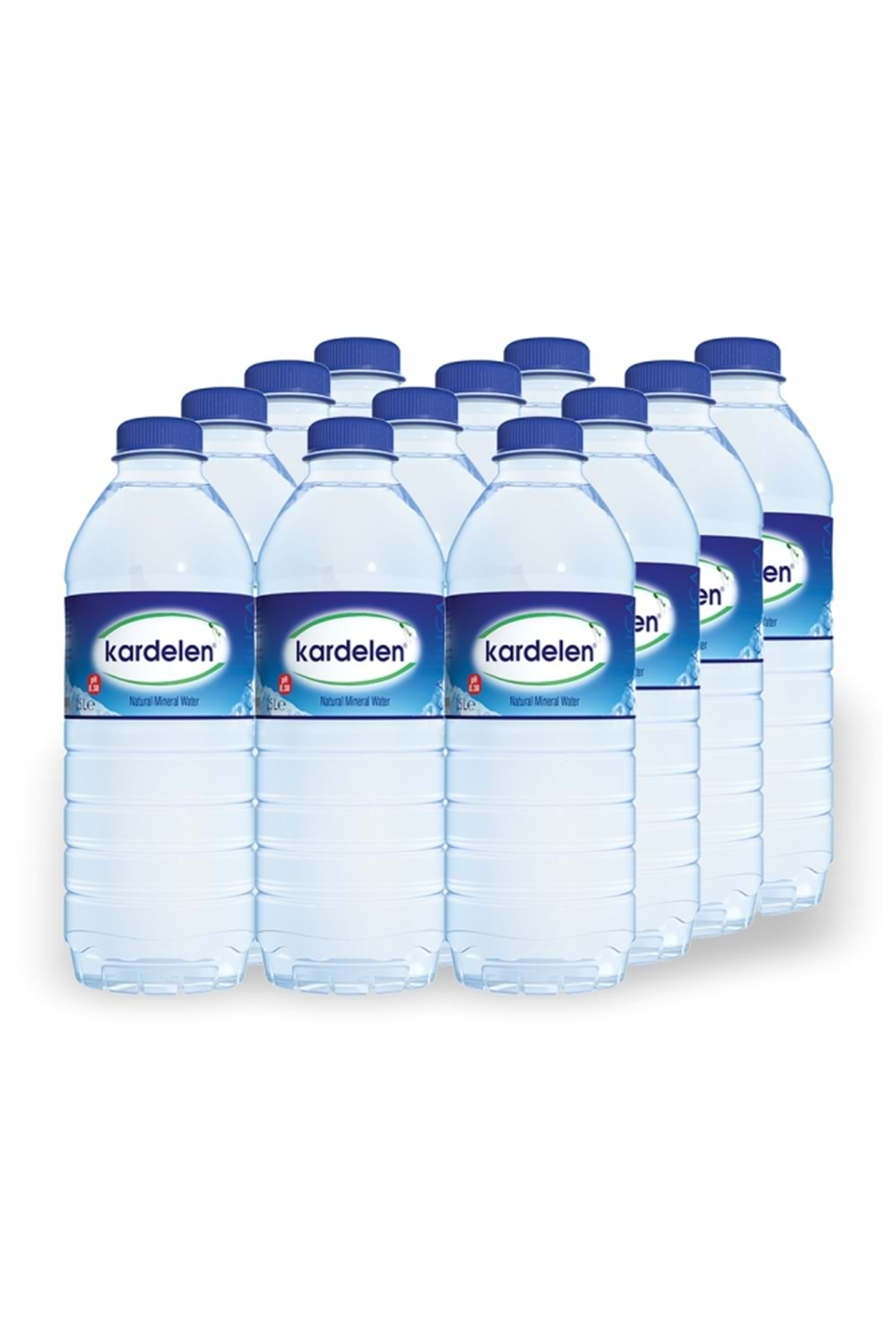 KARDELEN PET SU 500 ML - X12