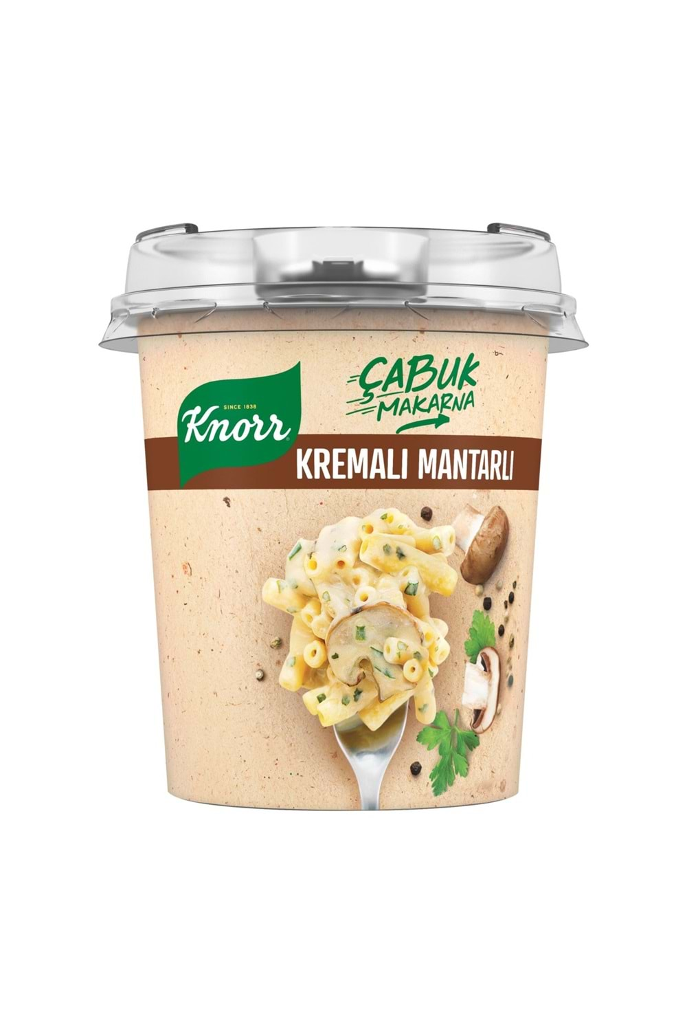 KNORR ÇABUK MAKARNA KREMALI MANTARLI 67 G