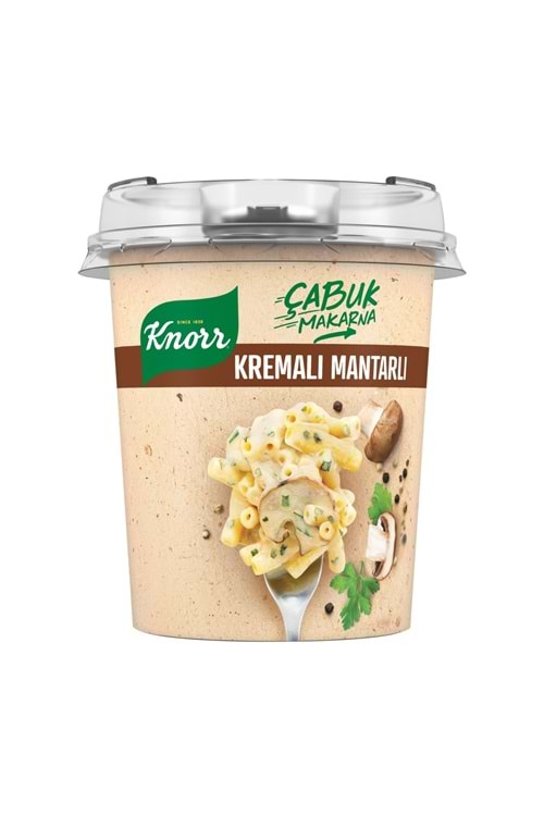 KNORR ÇABUK MAKARNA KREMALI MANTARLI 67 G